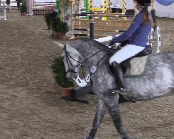 broodmare Chantal (Oldenburg, 2006, from Coupe de Coeur 2)