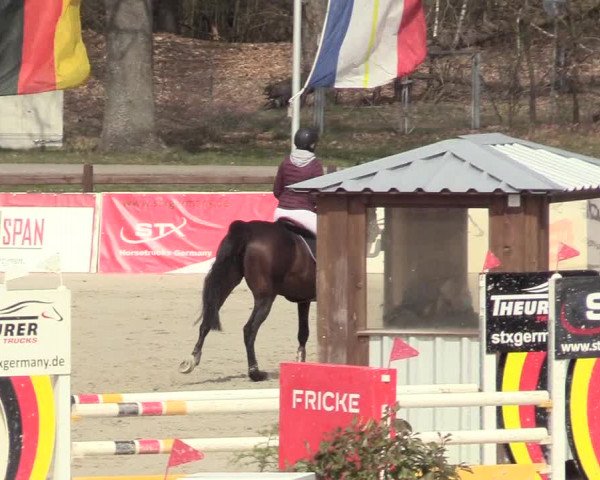 Reitturnier Westergellersen 2021