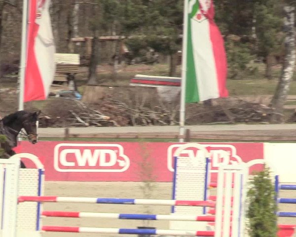 Reitturnier Westergellersen 2021