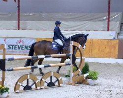 jumper Veiko (Latvian Warmblood, 1999, from Valsis)