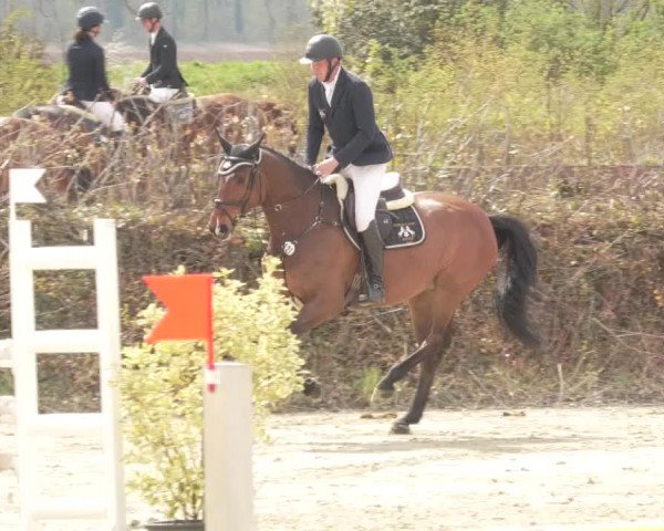 Reitturnier Nordheim-Wattenheim 2021
