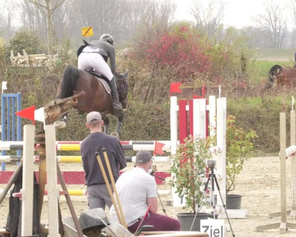 Reitturnier Nordheim-Wattenheim 2021