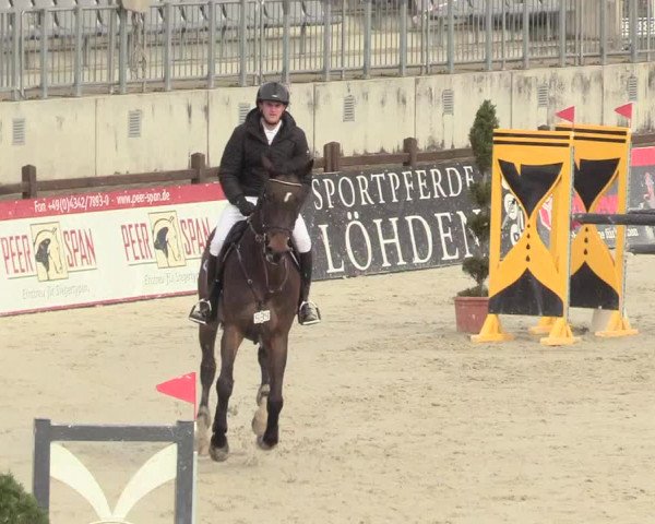 Reitturnier Westergellersen 2021