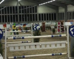 jumper Pikku Ukko (German Warmblood, 1998)