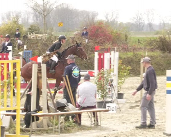 Reitturnier Nordheim-Wattenheim 2021