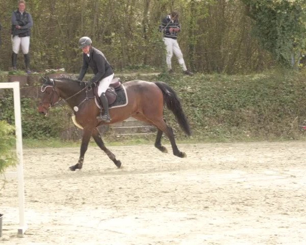 Reitturnier Nordheim-Wattenheim 2021
