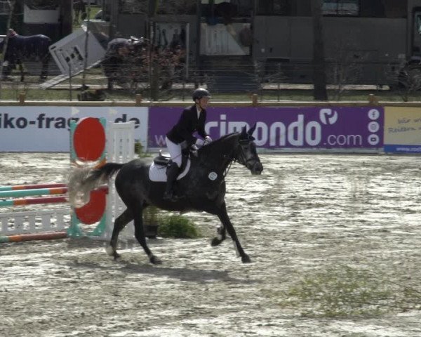 Reitturnier Westergellersen 2021