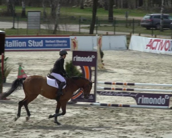 Reitturnier Westergellersen 2021