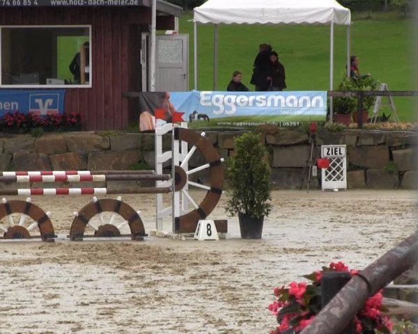 jumper Lord Oscar 2 (KWPN (Royal Dutch Sporthorse), 1996, from Lord Calando)