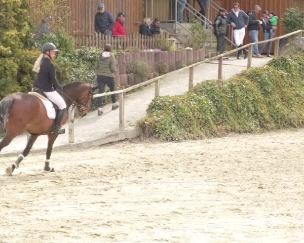 Reitturnier Nordheim-Wattenheim 2021