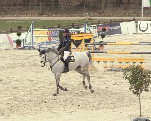 Reitturnier Westergellersen 2021