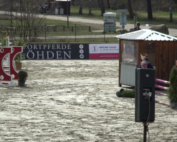 Reitturnier Westergellersen 2021