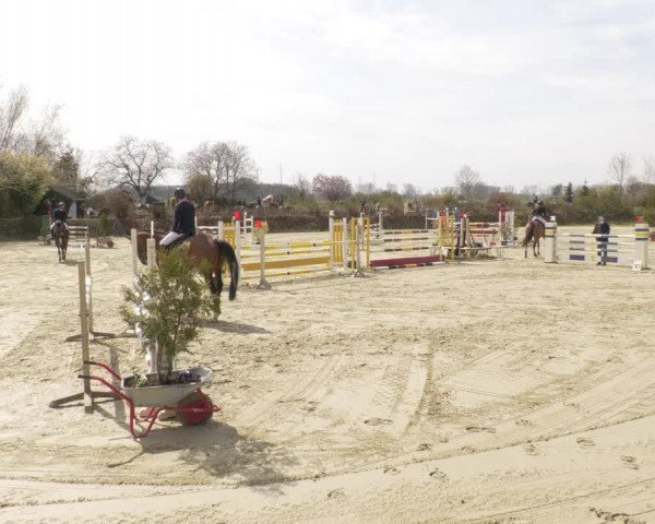 Reitturnier Nordheim-Wattenheim 2021