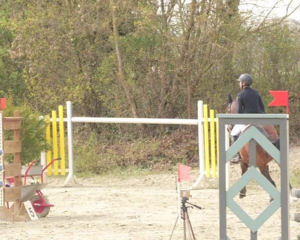 Reitturnier Nordheim-Wattenheim 2021