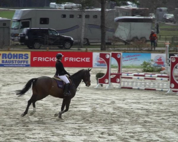 Reitturnier Westergellersen 2021