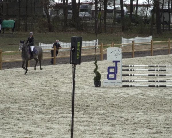 Reitturnier Westergellersen 2021
