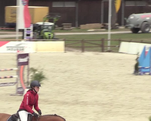 Reitturnier Westergellersen 2021