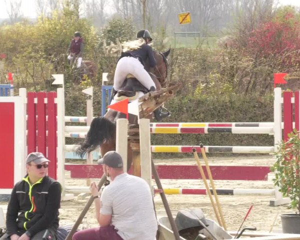 Reitturnier Nordheim-Wattenheim 2021