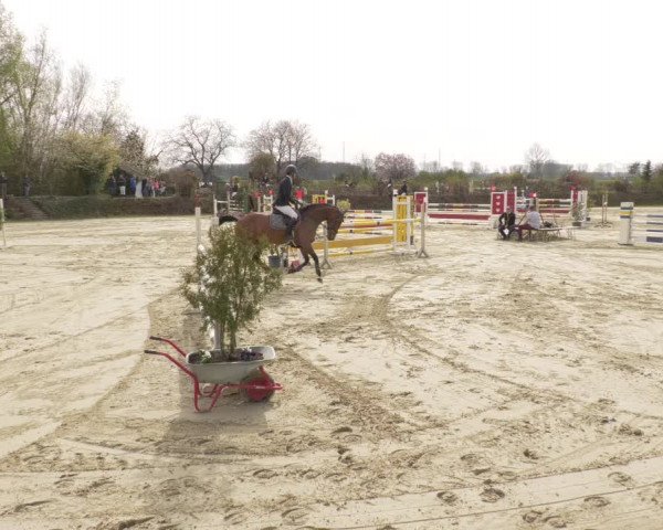 Reitturnier Nordheim-Wattenheim 2021