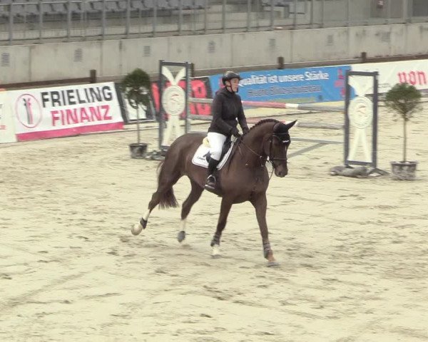 Reitturnier Westergellersen 2021