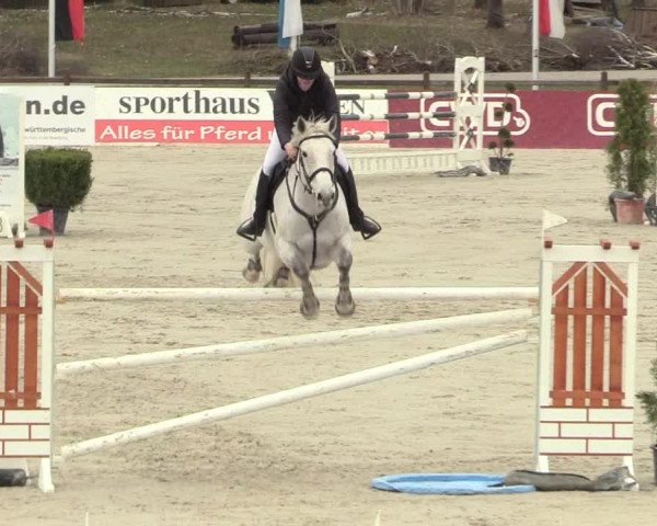 Reitturnier Westergellersen 2021