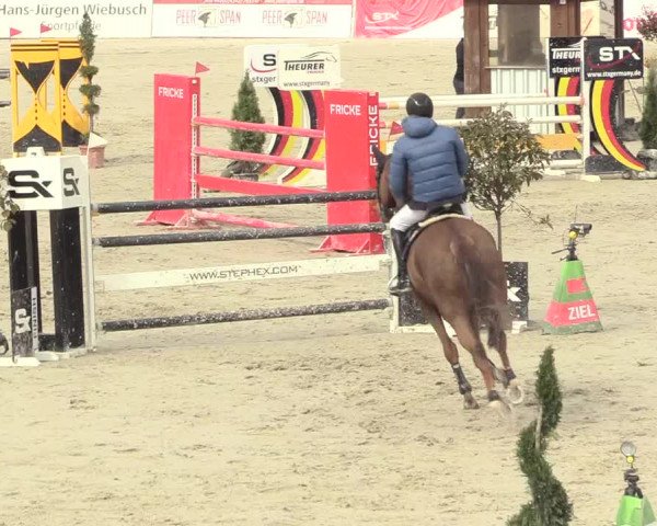 Reitturnier Westergellersen 2021