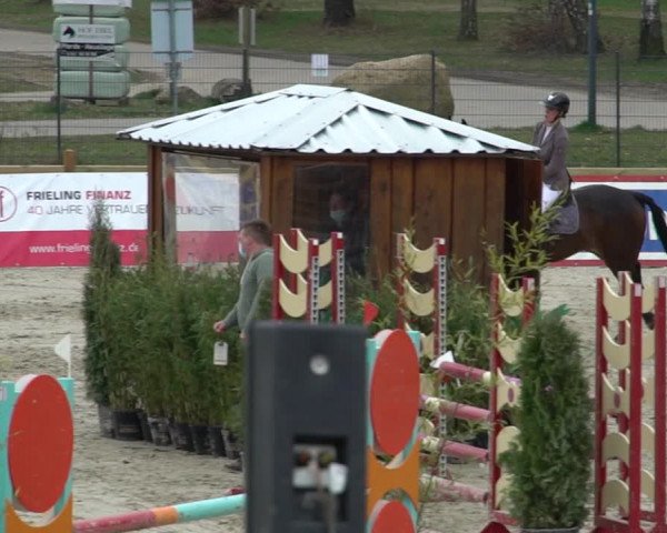 Reitturnier Westergellersen 2021