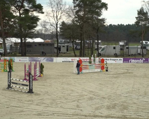 Reitturnier Westergellersen 2021