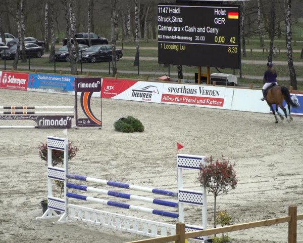 Reitturnier Westergellersen 2021