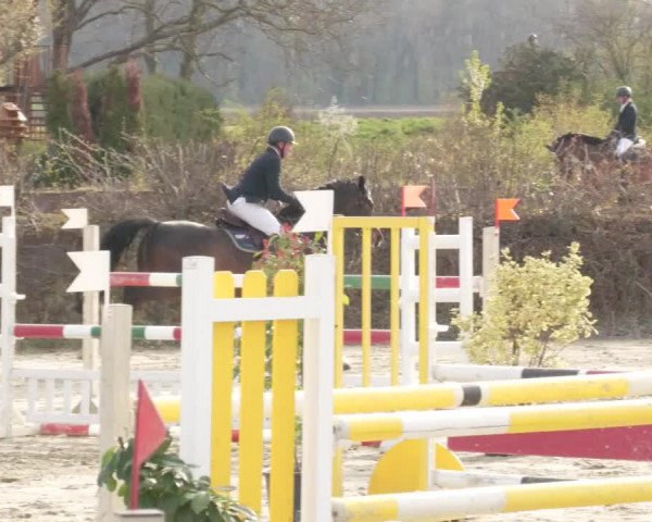 Reitturnier Nordheim-Wattenheim 2021