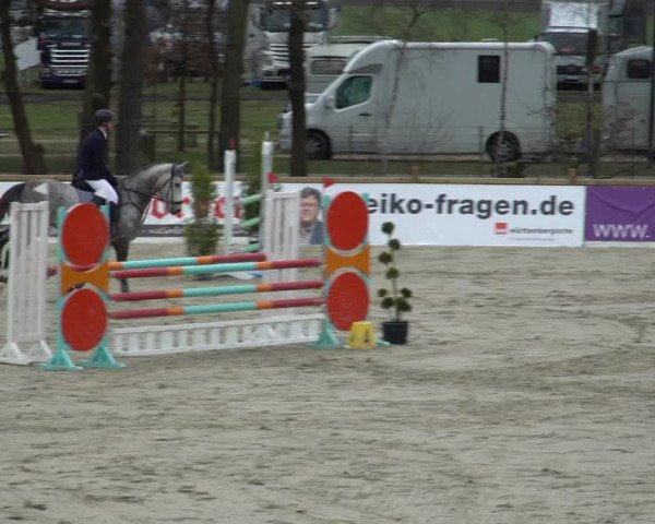 Reitturnier Westergellersen 2021