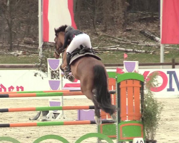 Reitturnier Westergellersen 2021