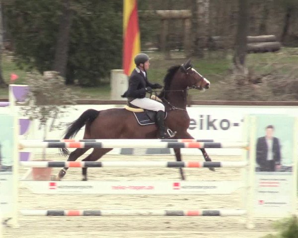 Reitturnier Westergellersen 2021