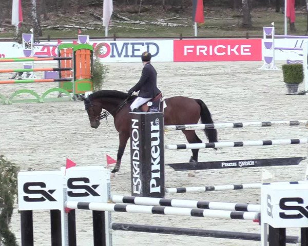 Reitturnier Westergellersen 2021