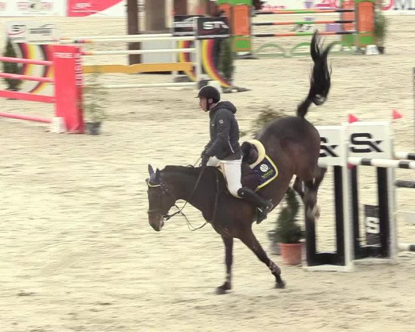 Reitturnier Westergellersen 2021