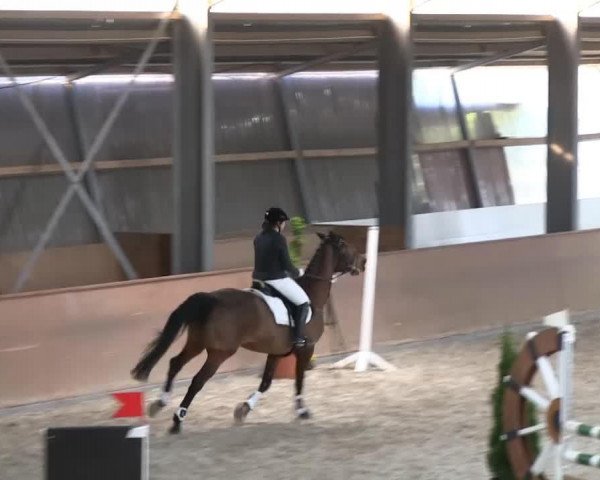 jumper Lise La Chapelle (unknown, 1995, from Lord de Luxe)