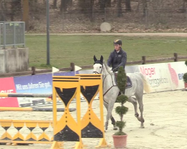 Reitturnier Westergellersen 2021