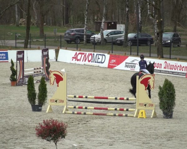 Reitturnier Westergellersen 2021