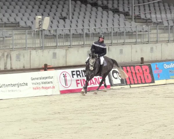 Reitturnier Westergellersen 2021