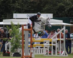 jumper King of Inspire (Westphalian, 2004, from King Cor De)