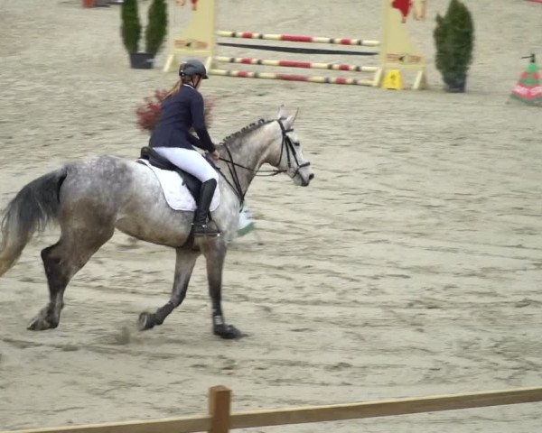 Reitturnier Westergellersen 2021