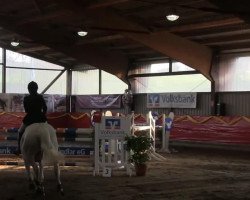 broodmare Loustic B (Belgian Warmblood, 1995, from Lancia)