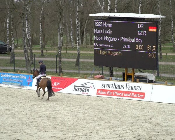 Reitturnier Westergellersen 2021