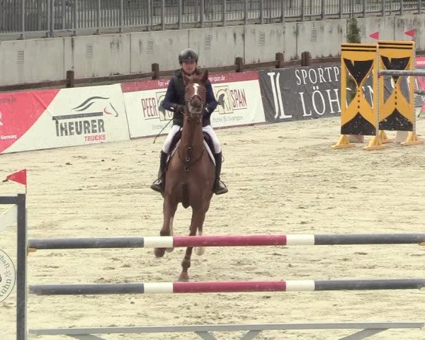 Reitturnier Westergellersen 2021