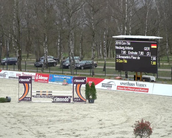 Reitturnier Westergellersen 2021