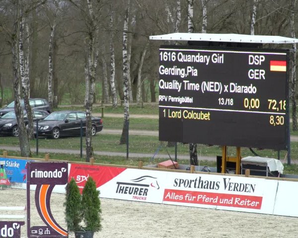 Reitturnier Westergellersen 2021