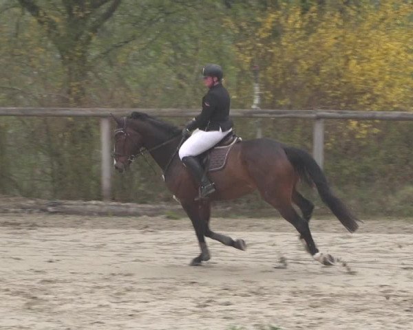 Reitturnier Erkrath - Uhlenhof 2021