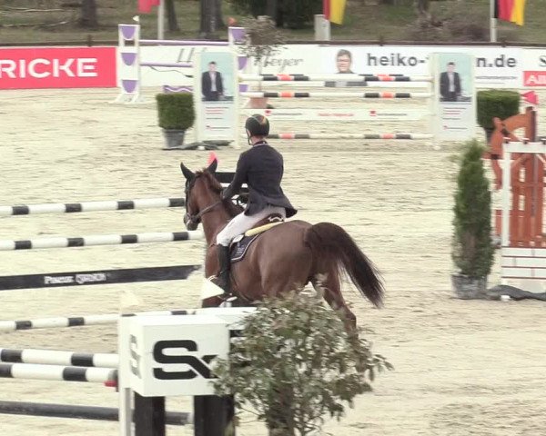 Reitturnier Westergellersen 2021