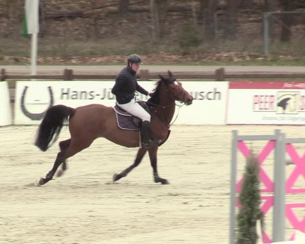 Reitturnier Westergellersen 2021