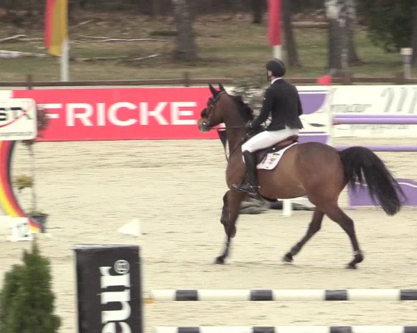 Reitturnier Westergellersen 2021